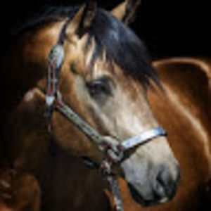 Meet your Posher, Annemarie